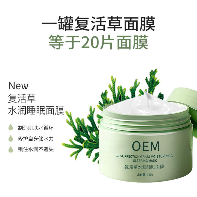 TBL_复活草睡眠面膜OEM